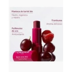 CAUDALIE VINOTHERAPIST TRATAMIENTO LABIAL CON COLOR