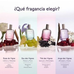 CAUDALIE THE DES VIGNES AGUA REFRESCANTE 50 ML
